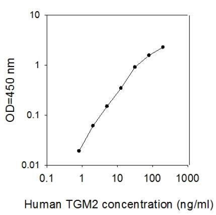 Human Transglutaminase 2/TGM2 ELISA