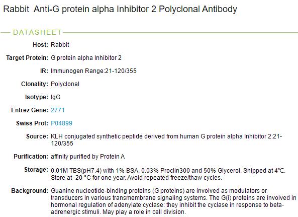 G蛋白a抑制蛋白2抗体