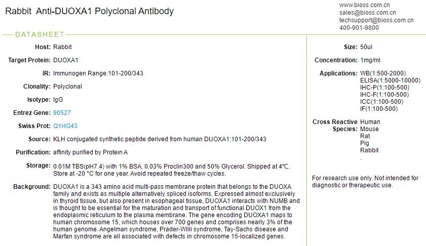 双氧化酶成熟因子抗体