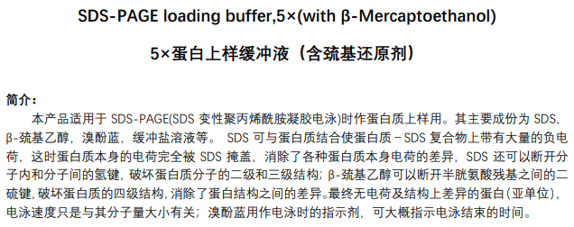 5×蛋白上样缓冲液（含巯基还原剂）