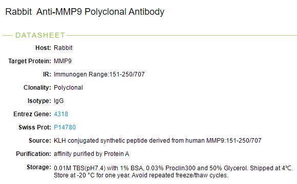 基质金属蛋白酶9抗体