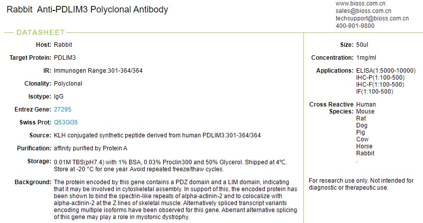 辅肌动蛋白相关LIM蛋白抗体