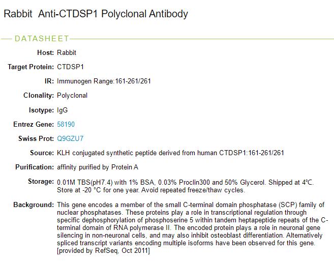 羧基端小结构域磷酸酶1抗体