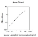 Mouse Lipocalin-2 ELISA