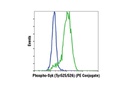 Phospho-Syk (Tyr525/526) (C87C1) Rabbit mAb (PE Conjugate)